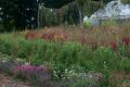 Flower garden at Canterbury