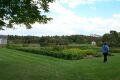 Becky check's out the Canterbury vegetable garden