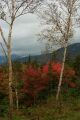 Color along the Kancamagus