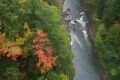 Looking down into Quechee Gorge