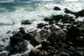 Rocky beach at Acadia National Park