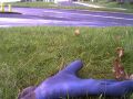 glove in the grass