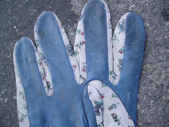 four fingers and the folded-in thumb of a cheap garden glove