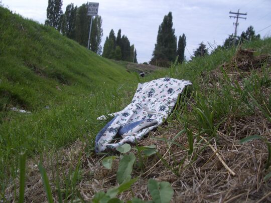 squirrel's eye view of a glove in a ditch