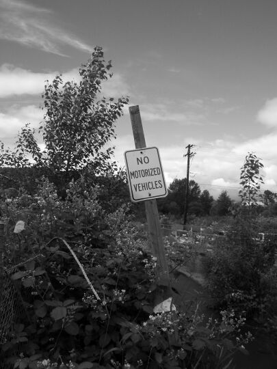 sign on Pickering Trail