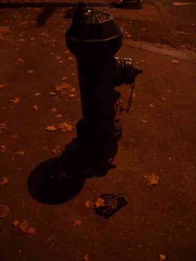 glove and fire hydrant by streetlight