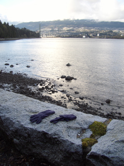 pair of gloves on the sea wall at Stanley Park, Vancouver BC