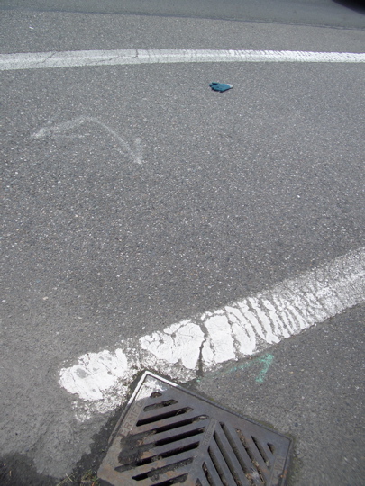 blue glove in crosswalk