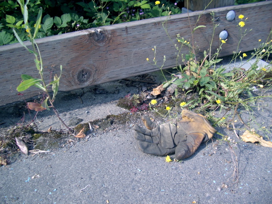 leather work glove in weeds by wooden fence
