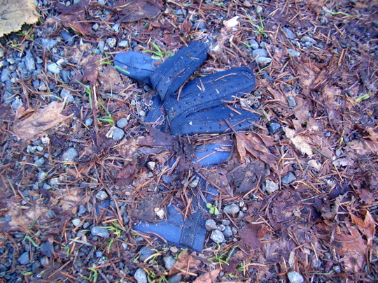 glove partly obscured by half-decayed leaves and gravel