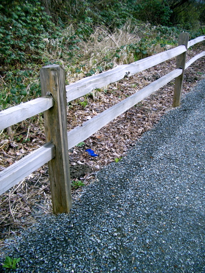 bright blue glove alongside trail behind split rail fence