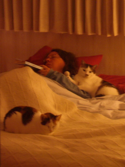 sleeping girl with book attended by two cats