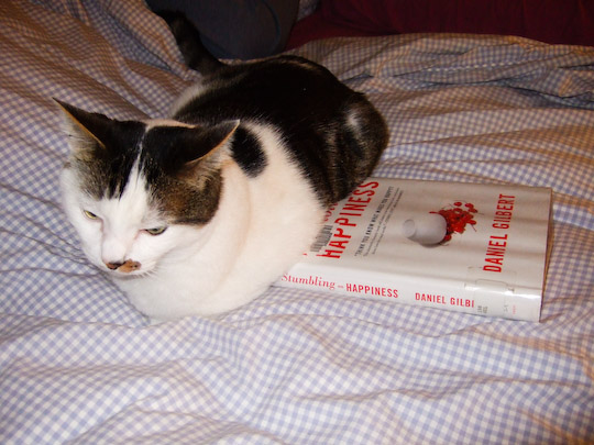 Cat sitting on Daniel Gilbert's book Stumbling on Happiness